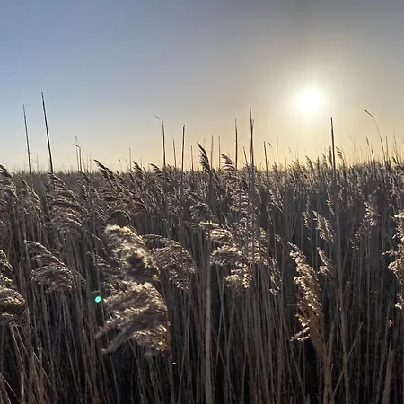 West * Fehmarn