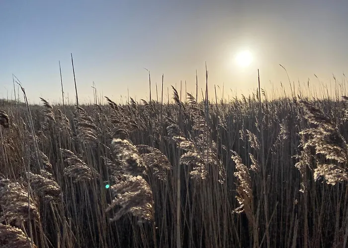 West * Fehmarn